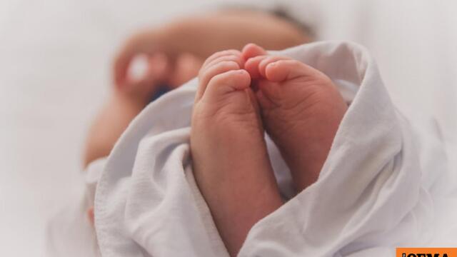 Σκύλος δάγκωσε 9 μηνών βρέφος μέσα στο σπίτι του στον Βόλο Σκύλος δάγκωσε 9 μηνών βρέφος μέσα στο σπίτι του στον Βόλο