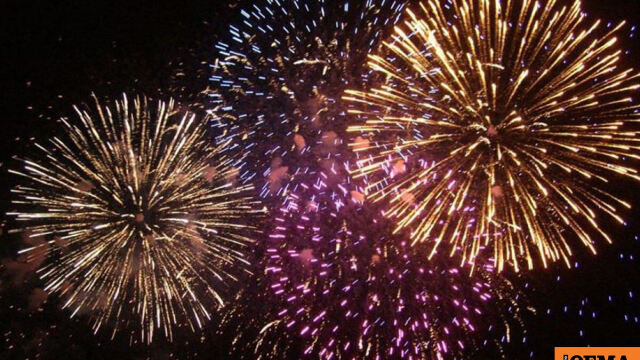 Η νέα πρωτοβουλία της Ειδικής Γραμματείας για την Προστασία των Ζώων Συντροφιάς