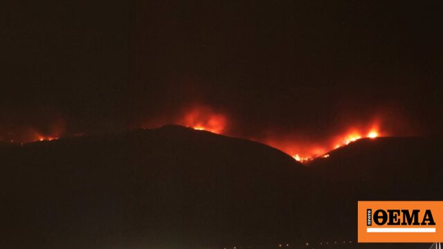 Large forest fire in an inaccessible part of Parnitha