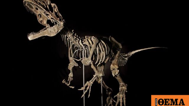 Βρετανία: Επιχειρηματίας από τη Σιγκαπούρη κατείχε μέχρι και οστά δεινοσαύρων