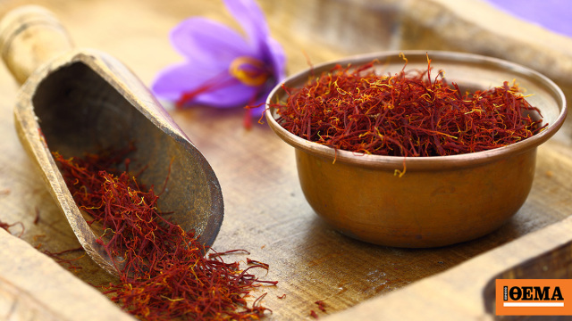 Χαμηλές και φέτος οι προσδοκίες για την φετινή παραγωγή κρόκου