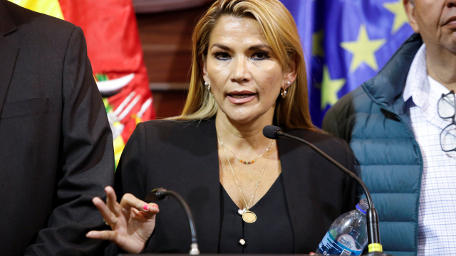 Βολίβία: Αποφυλακίστηκε μετά από 4 χρόνια η πρώην πρόεδρος Τζανίνε Άνιες