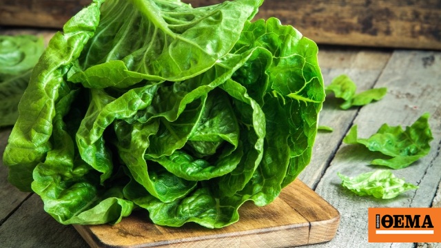 Εκατοντάδες πακέτα με ναρκωτικά μέσα σε… μαρούλια εντοπίστηκαν στα σύνορα ΗΠΑ-Μεξικού