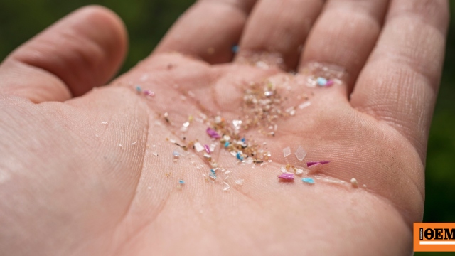 Yağlı Karaciğer: Mikroplastiklerin Bilinmeyen Rolü, Hangi Diyet Riski Artırıyor