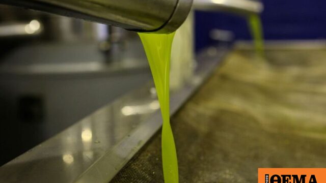 Έκλεψε πάνω από 800 κιλά ελαιόλαδο και 35 κιλά μέλι από αποθήκες στην Αττική, συνελήφθη 48χρονος