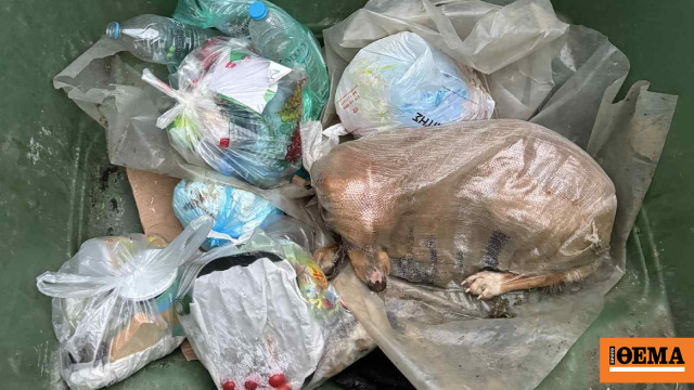 Σκύλος βρέθηκε ζωντανός μέσα σε τσουβάλι σε κάδο απορριμμάτων