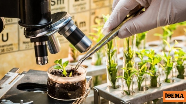 Συμφωνία στην ΕΕ για την ανάπτυξη νέας γενιάς γενετικά τροποποιημένων οργανισμών στη γεωργία