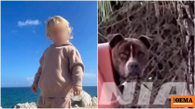 Συγκλονισμένη η Ζάκυνθος από την επίθεση του πίτμπουλ στον 2χρονο Λίο,«η κόρη μου φώναξε και έτρεξα, δεν άκουσα κάτι άλλο» λέει ο πατέρας του