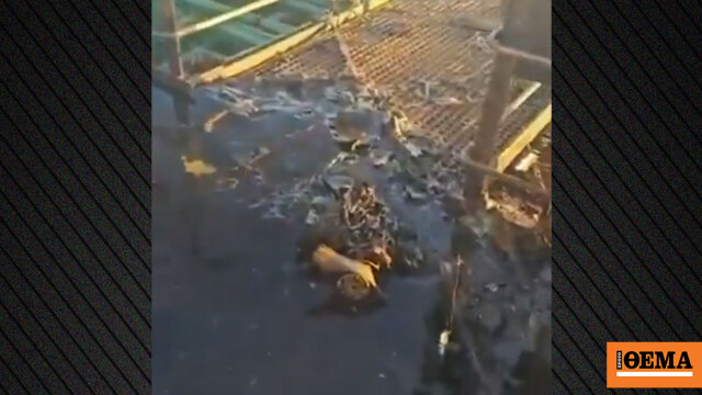 Οι Ουκρανοί κατηγορούν τους Ρώσους ότι επιτέθηκαν με drone σε τουρκικό εμπορικό πλοίο στη Μαύρη Θάλασσα, δείτε βίντεο