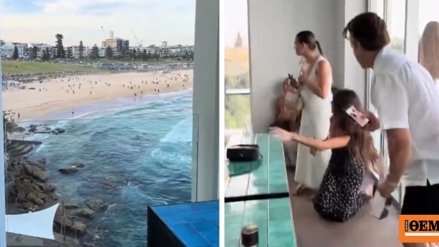 Πανικός σε μπαρ δίπλα στην παραλία την ώρα της επίθεσης στο Σίδνεϊ, δείτε βίντεο