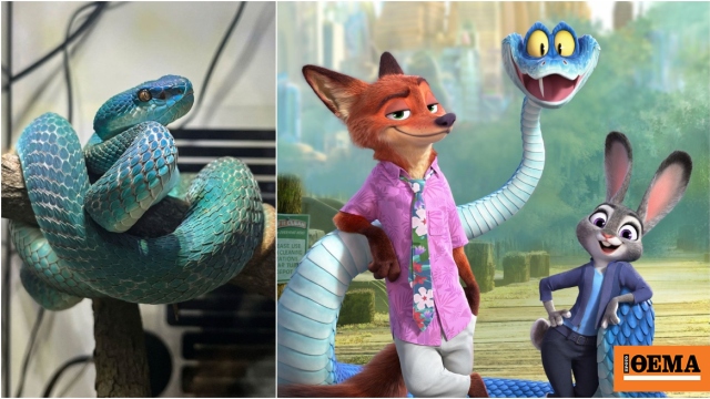 Οι νέοι αγοράζουν δηλητηριώδεις οχιές λόγω της μεγάλης επιτυχίας του «Zootopia 2»