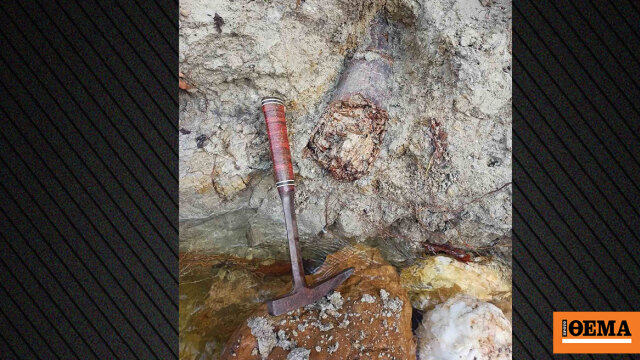Εντοπίστηκε απολιθωμένος χαυλιόδοντας από Μαμούθ του Νότου στα Νέα Καλίνδοια