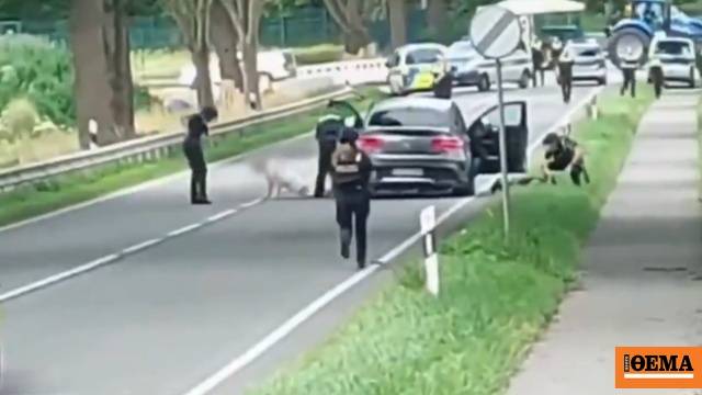 Almanya'daki 6 kişinin öldüğü katliamın arkasında bebek velayet kavgası