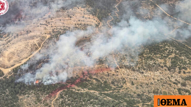 Ολοσχερής καταστροφή από τη φωτιά σε φυσικό καταφύγιο στο Ισραήλ Ολοσχερής καταστροφή από τη φωτιά σε φυσικό καταφύγιο στο Ισραήλ