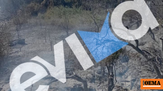 Σύλληψη 56χρονου για πρόκληση πυρκαγιάς σε δασική έκταση στην Εύβοια