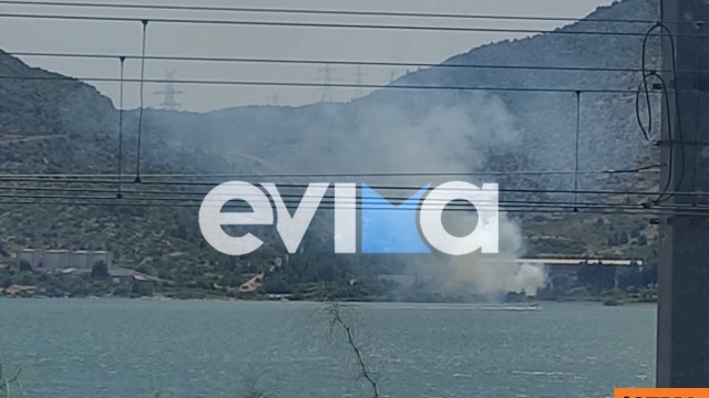 Φωτιά τώρα έξω σε ξερά χόρτα από εργοστάσιο στη Χαλκίδας