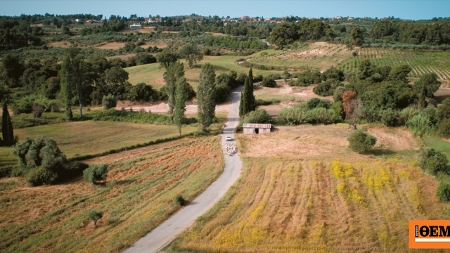 Καθαρισμός οικοπέδων 2026: Μέχρι πότε η προθεσμία για δηλώσεις και εργασίες, τι αλλάζει φέτος - Χρήσιμος οδηγός