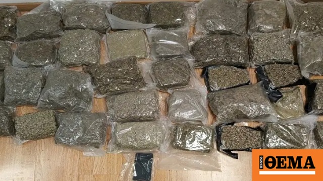 28χρονος προσπάθησε να περάσει 19 κιλά κάνναβης μέσα σε βαλίτσα στο «Ελ. Βενιζέλος» 28χρονος προσπάθησε να περάσει 19 κιλά κάνναβης μέσα σε βαλίτσα στο «Ελ. Βενιζέλος»