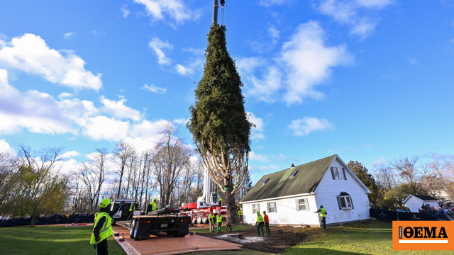 Έλατο 100 ετών από τη Νέα Υόρκη θα στολίσει τα Χριστούγεννα το Rockefeller Center