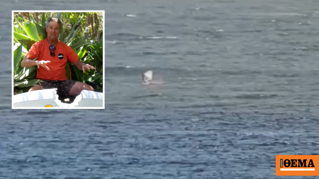 Σέρφερ στην Αυστραλία ήρθε πρόσωπο με πρόσωπο με καρχαρία