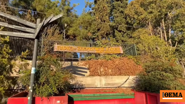 Λουκέτο μέχρι νεοτέρας στον ζωολογικό κήπο λόγω κρούσματος βρουκέλλωσης σε κριό