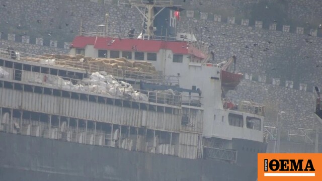 Παγιδευμένες στο πλοίο παραμένουν χιλιάδες αγελάδες στην Τουρκία