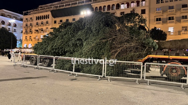 «Μύρισε» Χριστούγεννα στη Θεσσαλονίκη, έφτασε το έλατο 18 μέτρων στην πλατεία Αριστοτέλους
