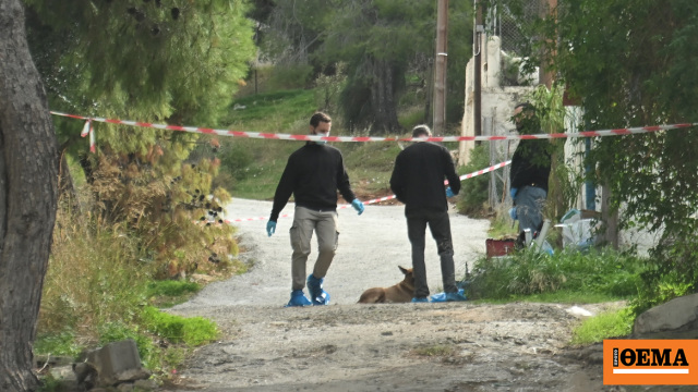 Ξεψύχησε λέγοντας το «Πάτερ Ημών» κλαίγοντας και παρακαλώντας για τη ζωή της η 75χρονη στη Σαλαμίνα