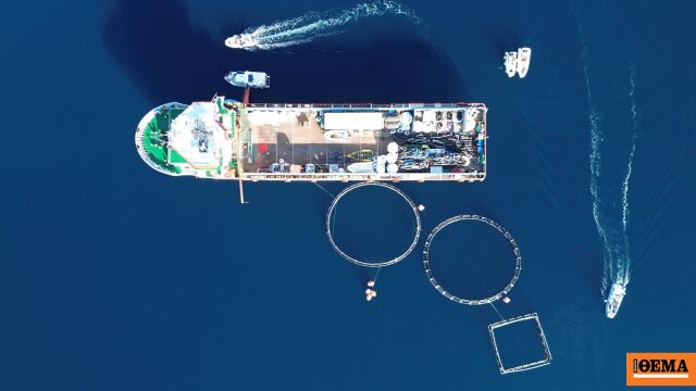 Ίδρυμα Λασκαρίδη και Healthy Seas καθάρισαν εγκαταλελειμμένη ιχθυοκαλλιέργεια στα Μέθανα