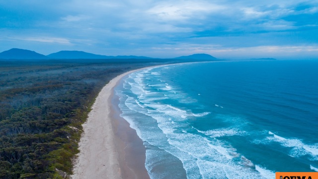 Τραγωδία στην Αυστραλία: Καρχαρίας κατασπάραξε 20χρονη