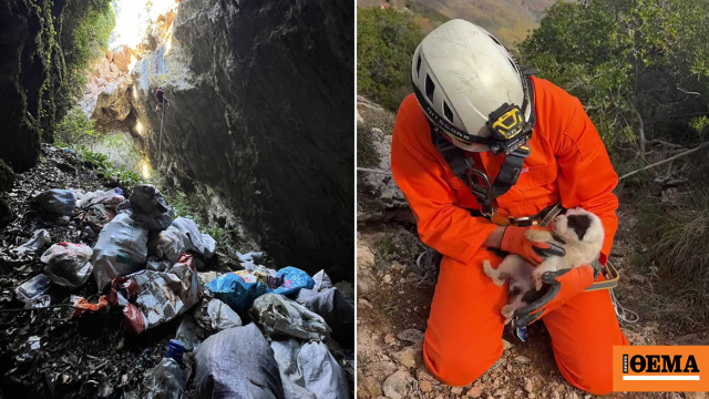 Πέταξαν κουτάβια σε γκρεμό 20 μέτρων, σώθηκε ένα που προστάτεψαν σακούλες σκουπιδιών, δείτε βίντεο