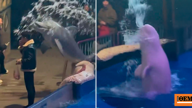 Πέταξε νερό σε άνδρα και έσβησε το τσιγάρο που άναψε μπροστά στο ενυδρείο της