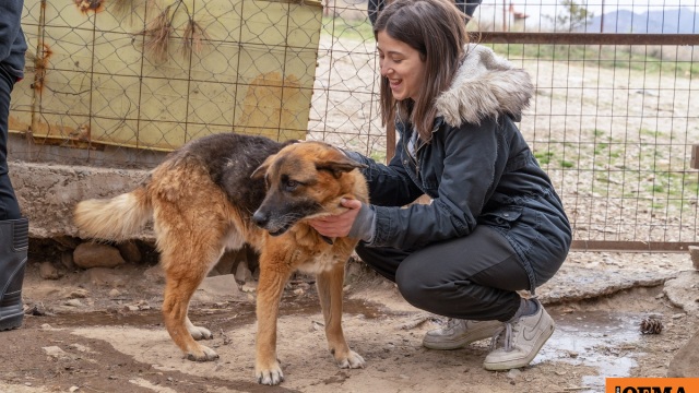 Σταδιακά. Σταθερά. Μαζί. Τέσσερις ιστορίες που δείχνουν πώς αλλάζει ο κόσμος