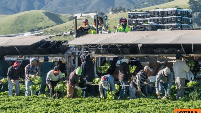 Πακέτο στήριξης 12 δισ. δολαρίων ανακοίνωσε ο Τραμπ για τους αγρότες, είναι «απλά ένα σωσίβιο» απαντούν