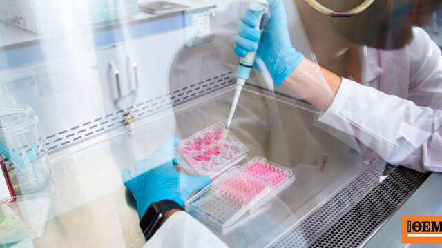 18 παιδιά σε 11 οικογένειες έχουν γεννηθεί στην Ελλάδα με το σπέρμα του Δανού δότη με την καρκινογόνα μετάλλαξη