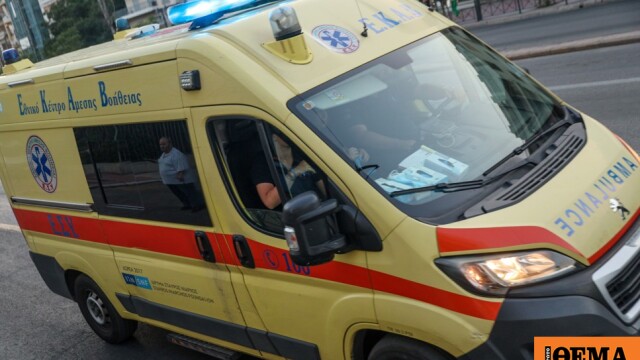 Παρέσυρε πεζή, σκότωσε τον σκύλο της και εξαφανίστηκε