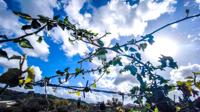 , ξεπέρασε τους 20°C η μέγιστη θερμοκρασία, μικρή πτώση το Σάββατο