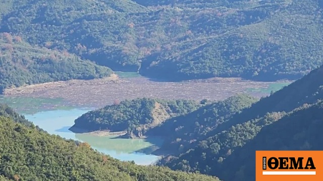 Χιλιάδες κορμοί δέντρων έχουν καλύψει τη λίμνη Πουρναρίου μετά τις ισχυρές βροχοπτώσεις