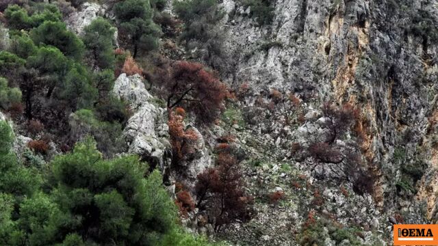 Ανθρώπινος σκελετός που ανήκει σε μια από τις δύο εξαφανισμένες Γαλλίδες τουρίστριες εντοπίστηκε στη Σίκινο