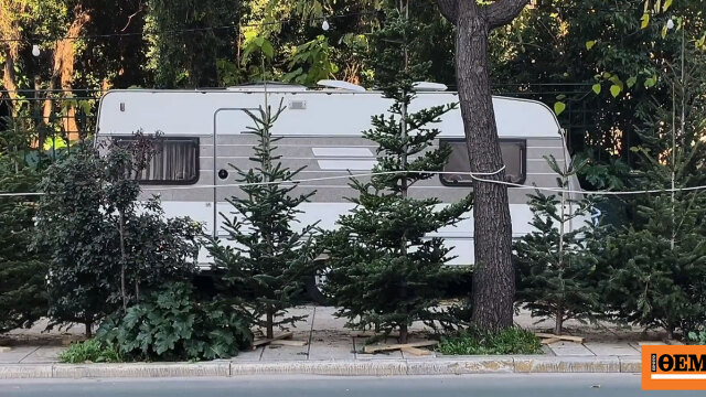 Η νομαδική ζωή ενός ελατοπαραγωγού πίσω από τα χριστουγεννιάτικα δέντρα