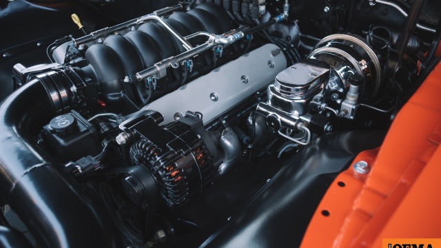 Πώς θα τον διατηρήσουμε «υγιή» τον χειμώνα