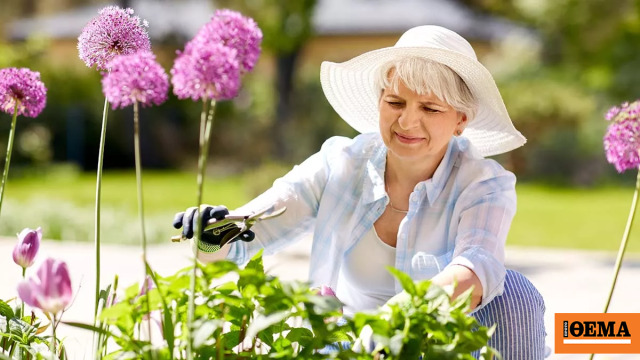 Ανανεώστε τον κήπο σας χωρίς να ξοδέψετε ούτε ένα ευρώ