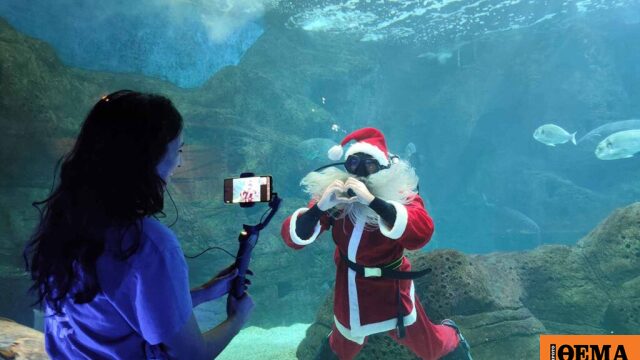 Χριστουγεννιάτικη ξενάγηση στο Ενυδρείο Κρήτης για παιδιά που νοσηλεύονται