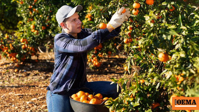 Πώς θα προστατεύονται οι Έλληνες παραγωγοί και τα 21 ελληνικά ΠΟΠ προίόντα στη Συμφωνία Mercosur
