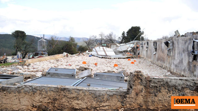 «Δεν έχουμε τίποτα άλλο, από αυτά ζούσαμε» σε απόγνωση η οικογένεια του πτηνοτρόφου που έχασε 40.000 κοτόπουλα από ανεμοστρόβιλο στο Καλπάκι