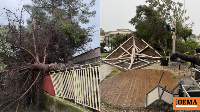 Ξερίζωσε δέντρα και ξήλωσε μεταλλικές κατασκευές, δείτε βίντεο και φωτογραφίες