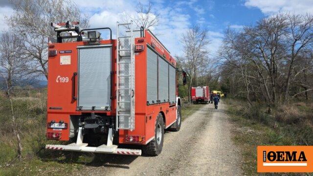 Τραγωδία στην Υπάτη: Νεκρός 68χρονος που καταπλακώθηκε από δέντρο μπροστά στα μάτια της συζύγου του