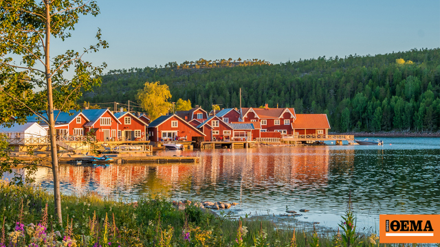 Το πράσινο φάρμακο – Μια δωρεάν θεραπεία για όλους