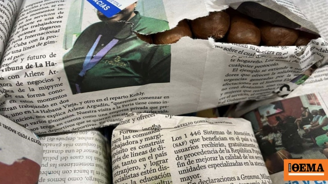 Κατασχέθηκαν πάνω από  2.800 πούρα στο «Ελευθέριος Βενιζέλος» αξίας 440.000 ευρώ, δείτε εικόνες