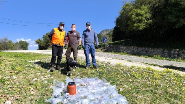 Oικολογικό έγκλημα στην ορεινή Ελλάδα: Σκοτώνουν με δηλητηριασμένα δολώματα ζώα και πουλιά